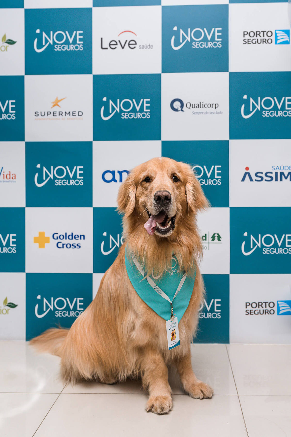 Fotos para marca pet friendly de seguros Rio de Janeiro