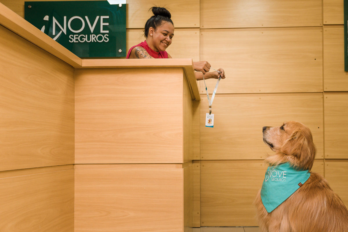 Fotos para marca pet friendly de seguros Rio de Janeiro