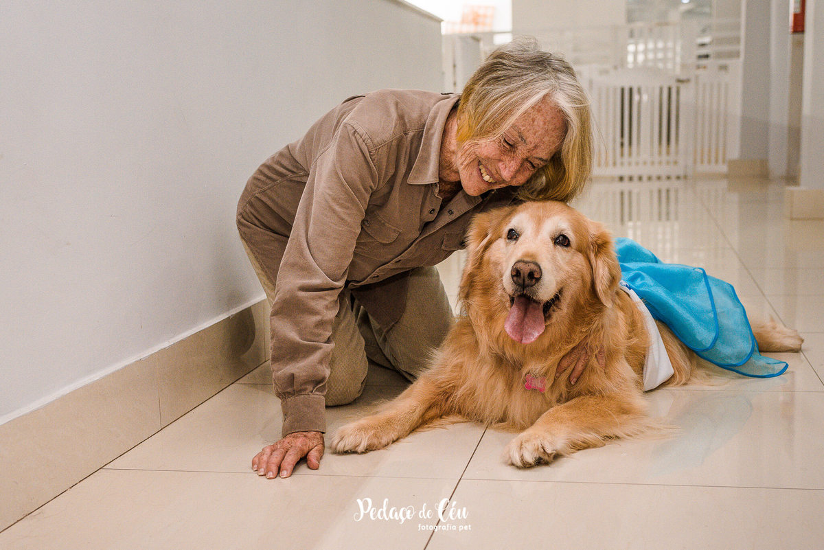 Festa Pet no day care Barra da Tijuca Rio de Janeiro