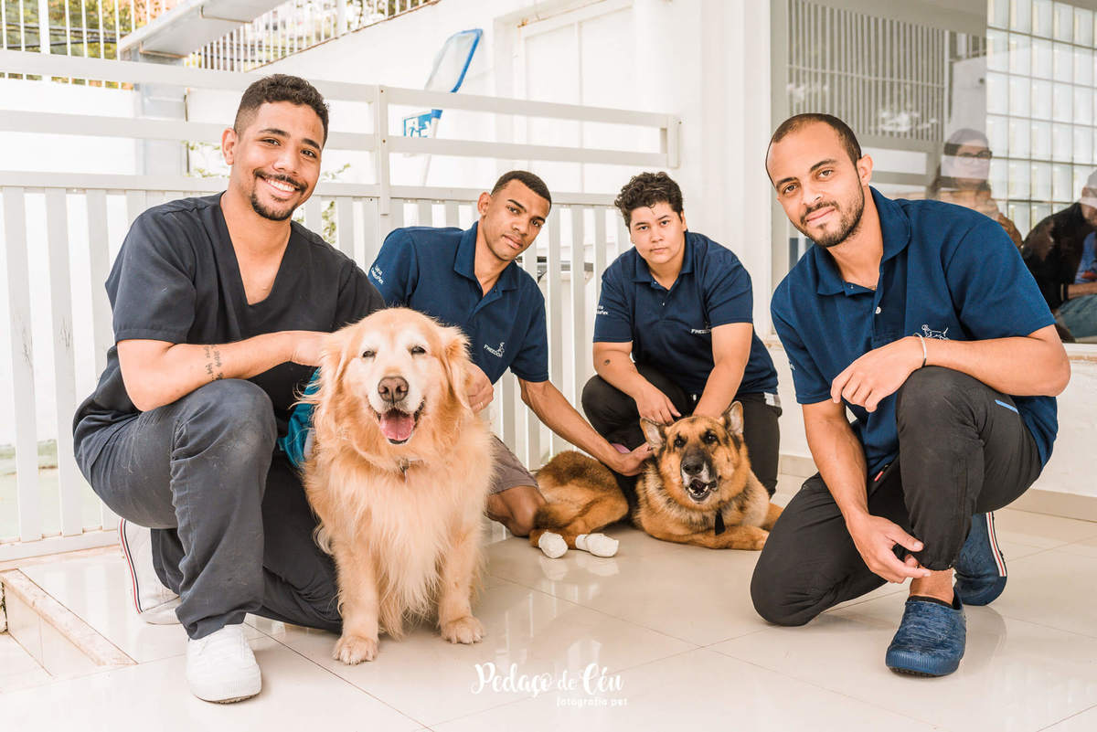 Festa Pet no day care Barra da Tijuca Rio de Janeiro