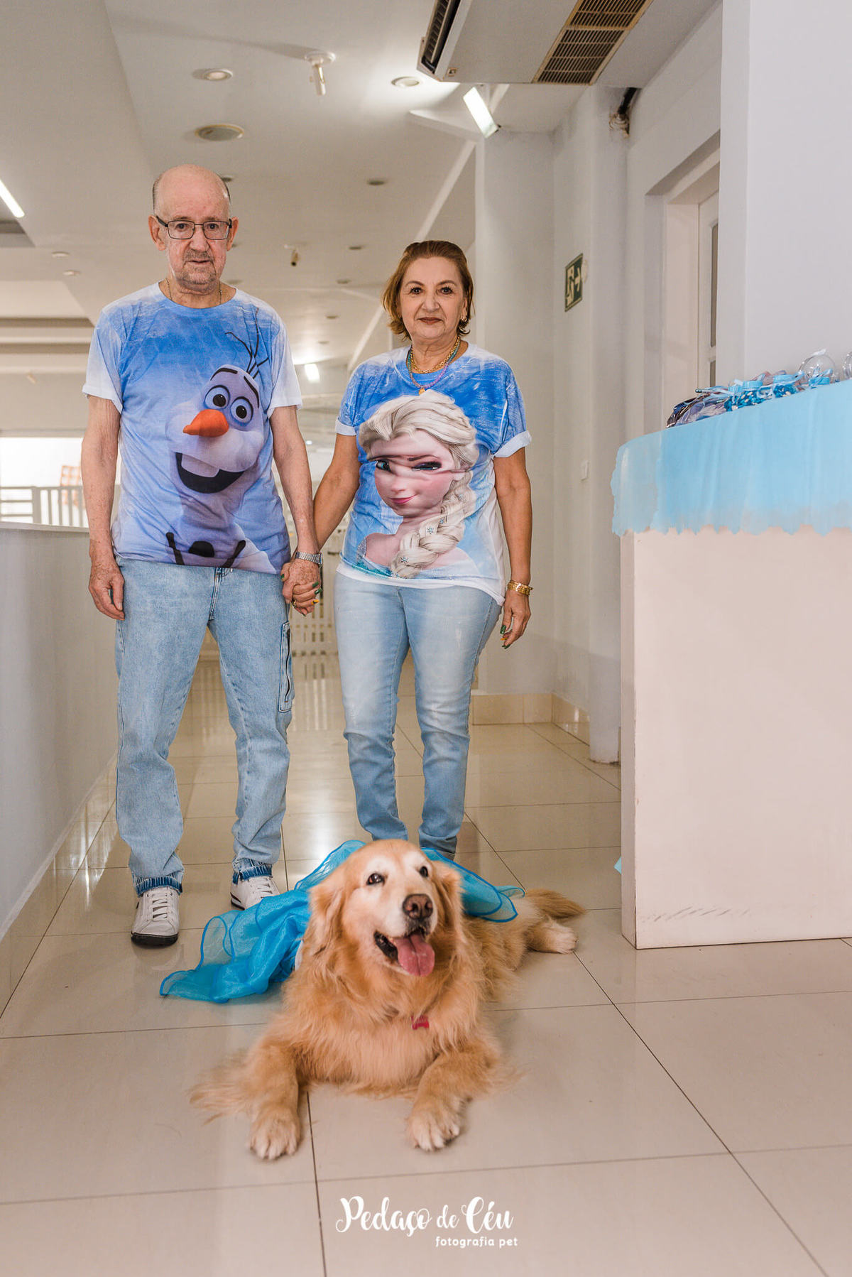 Festa Pet no day care Barra da Tijuca Rio de Janeiro