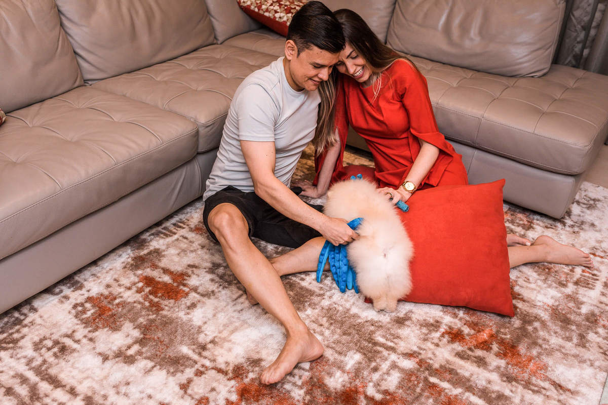 Foto Pet Spitz em casa Rio de Janeiro Lifestyle