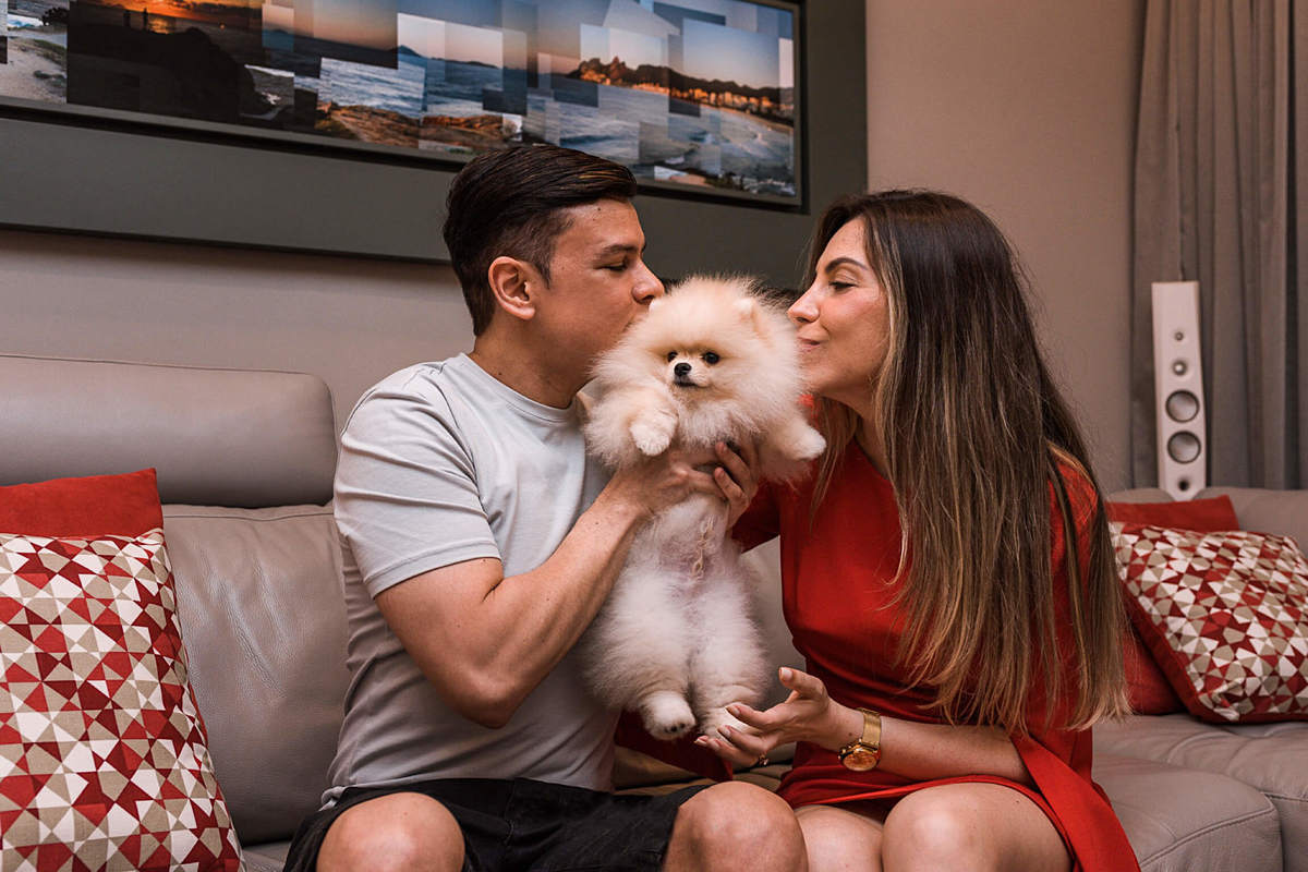 Foto Pet Spitz em casa Rio de Janeiro Lifestyle