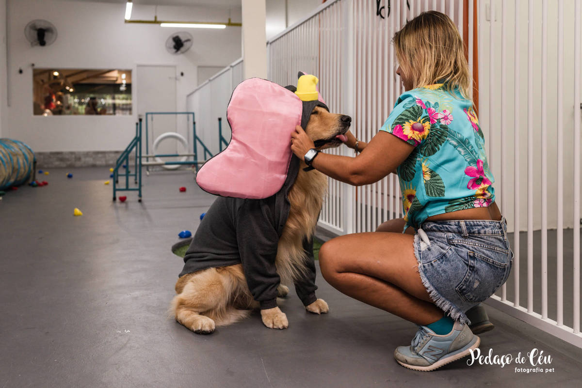 Festa Pet Golden Rio de Janeiro