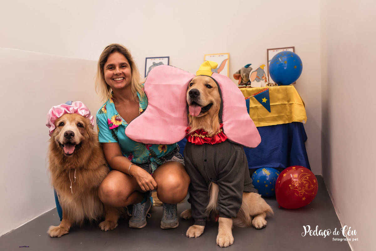 Festa Pet Golden Rio de Janeiro