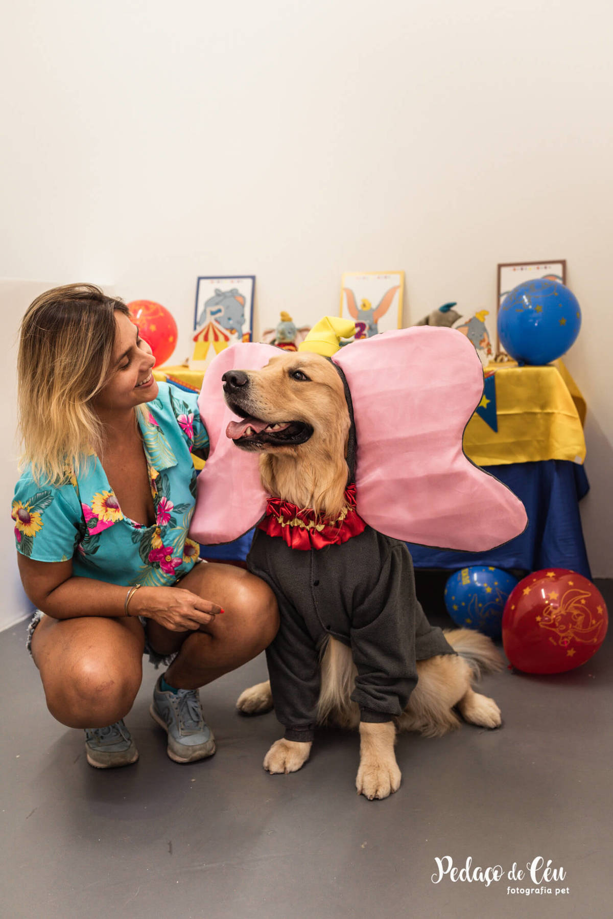 Festa Pet Golden Rio de Janeiro