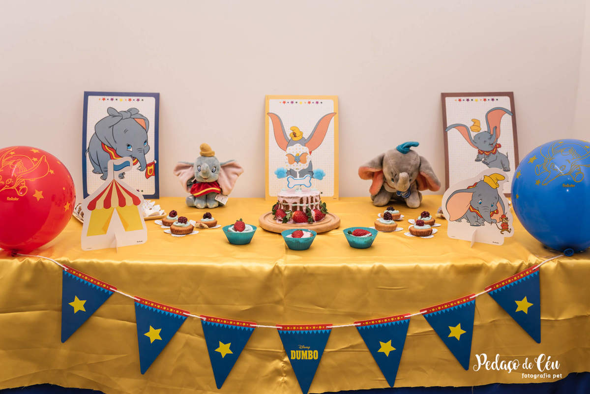 Festa Pet Golden Rio de Janeiro