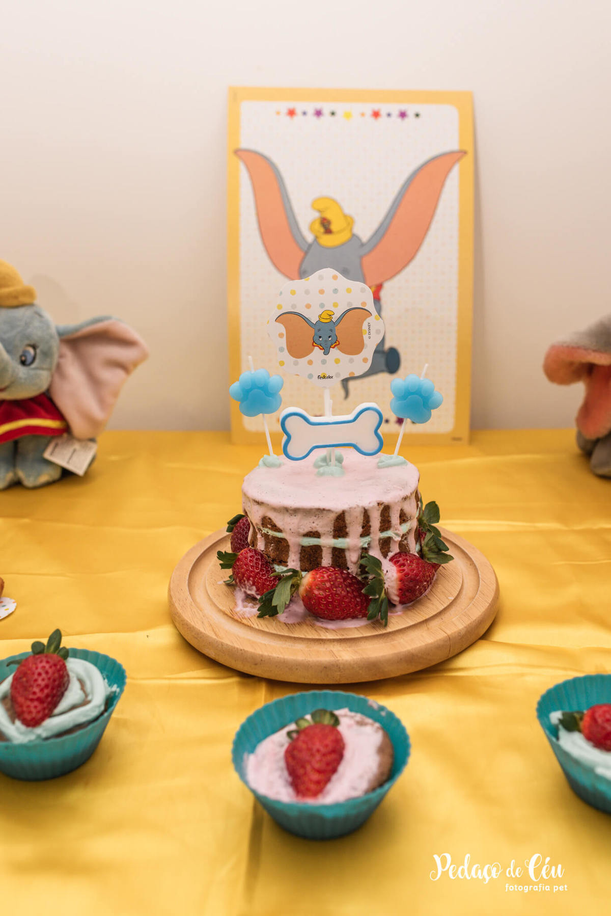 Festa Pet Golden Rio de Janeiro