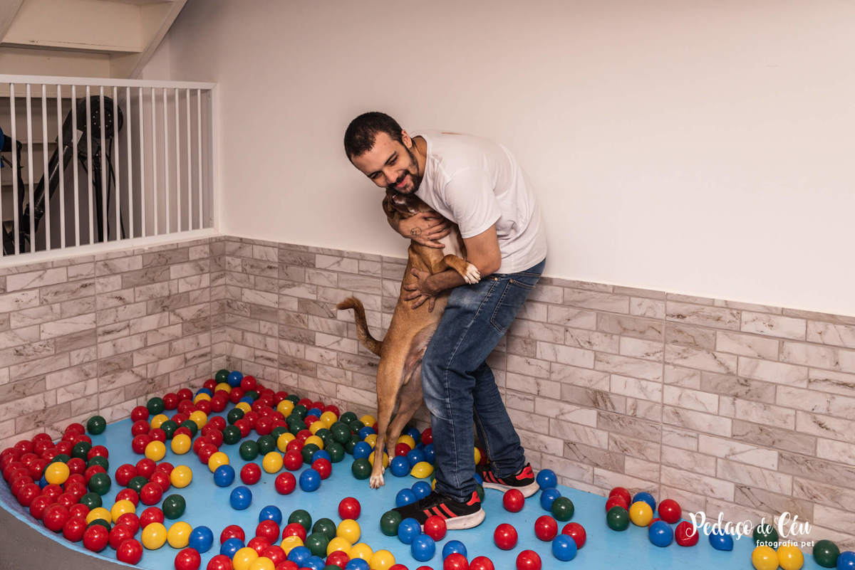 Festa Pet Golden Rio de Janeiro