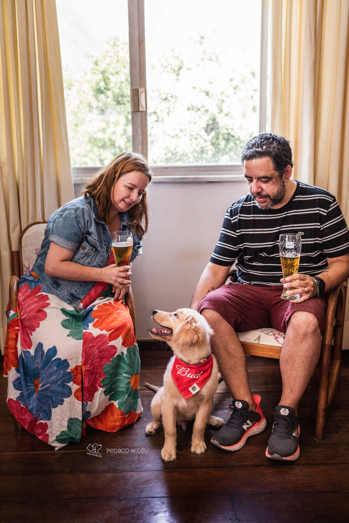 Ensaio pet filhote Golden Retriever Rio de Janeiro