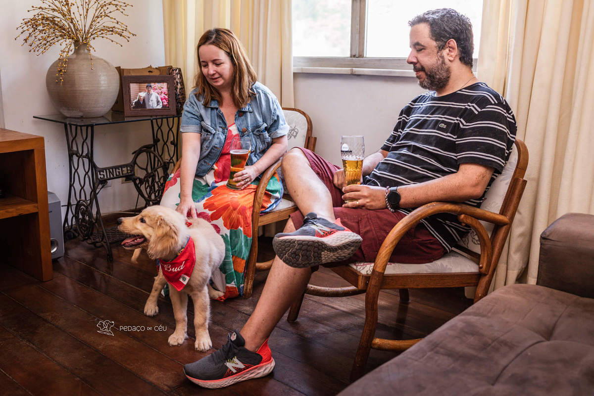 Ensaio pet filhote Golden Retriever Rio de Janeiro