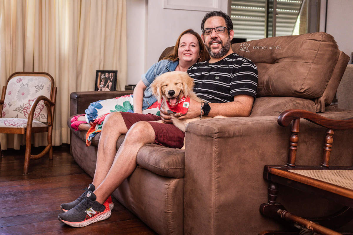 Ensaio pet filhote Golden Retriever Rio de Janeiro