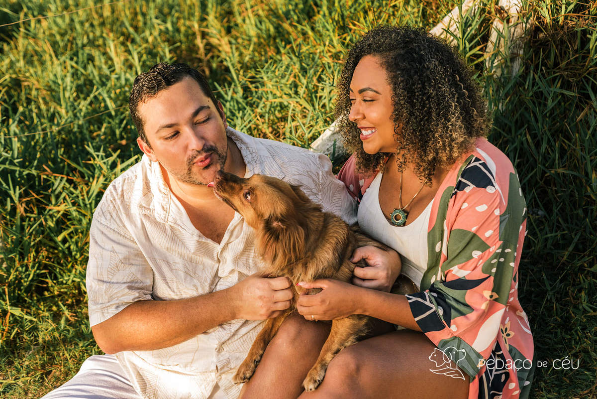 Ensaio Pet srd Praia do Pontal Rio de Janeiro