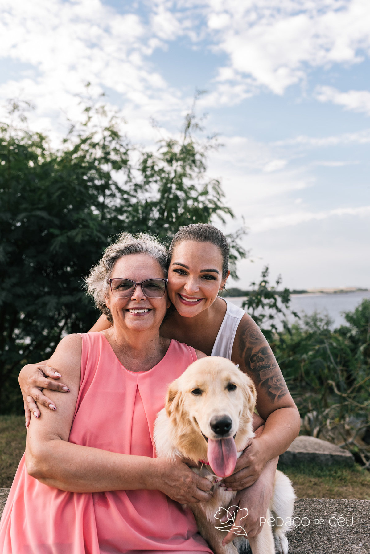 Ensaio pet filhote golden retriever rio de janeiro