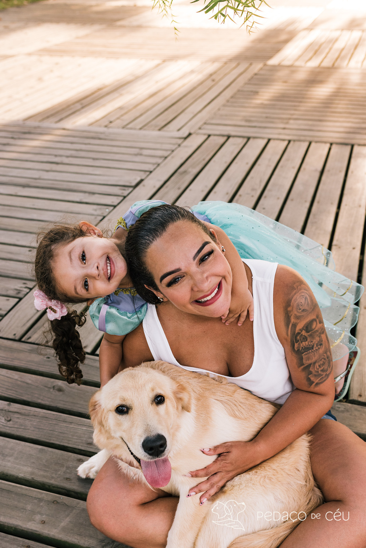 Ensaio pet filhote golden retriever rio de janeiro