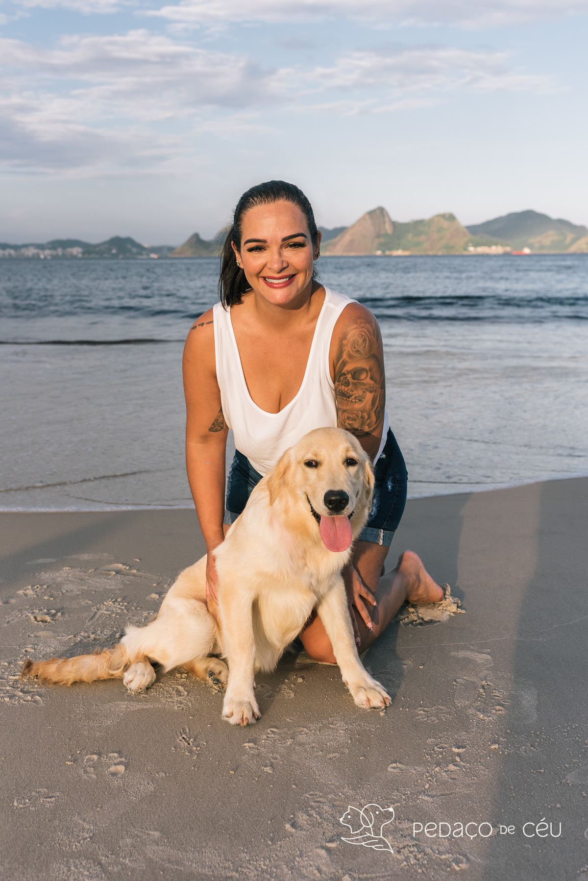 Ensaio pet filhote golden retriever rio de janeiro