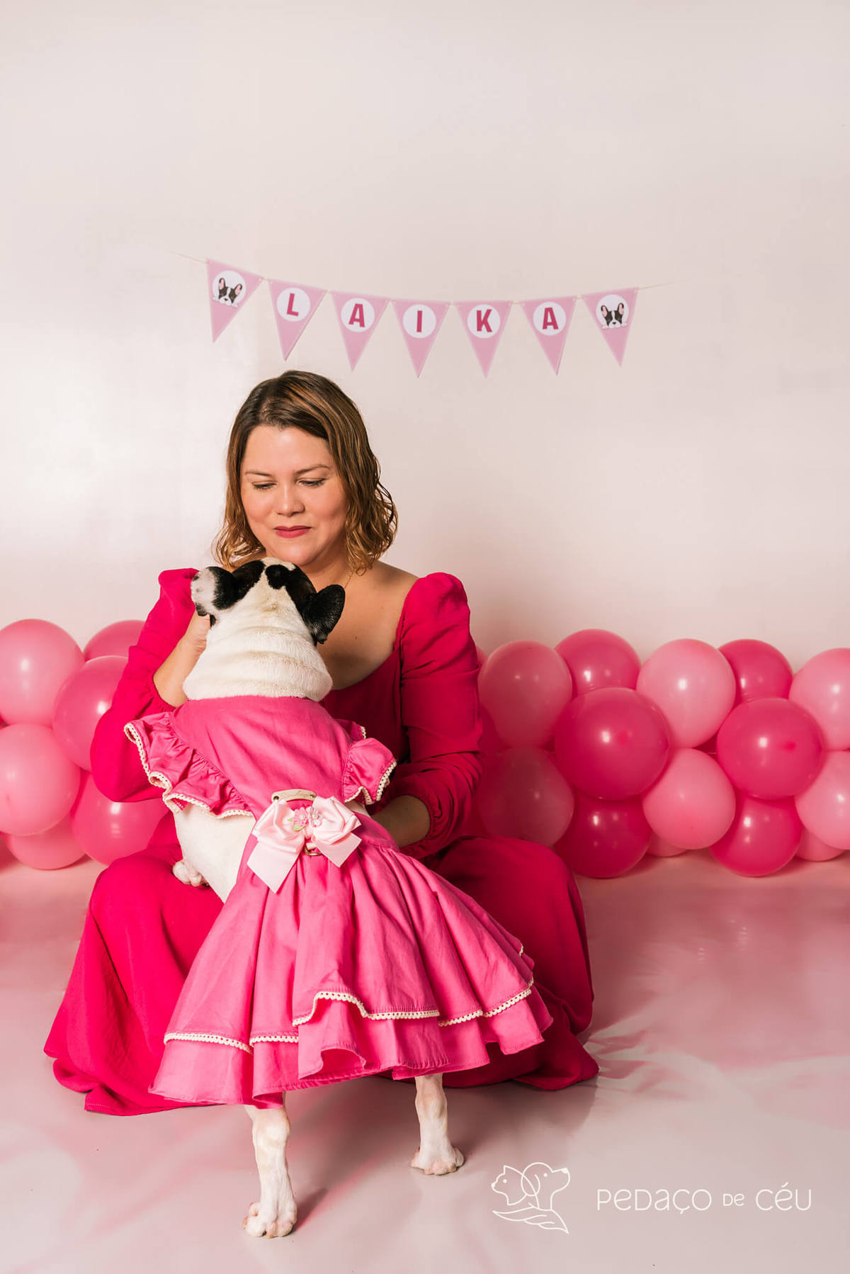 Smash the Cake Pet estúdio Rio de Janeiro