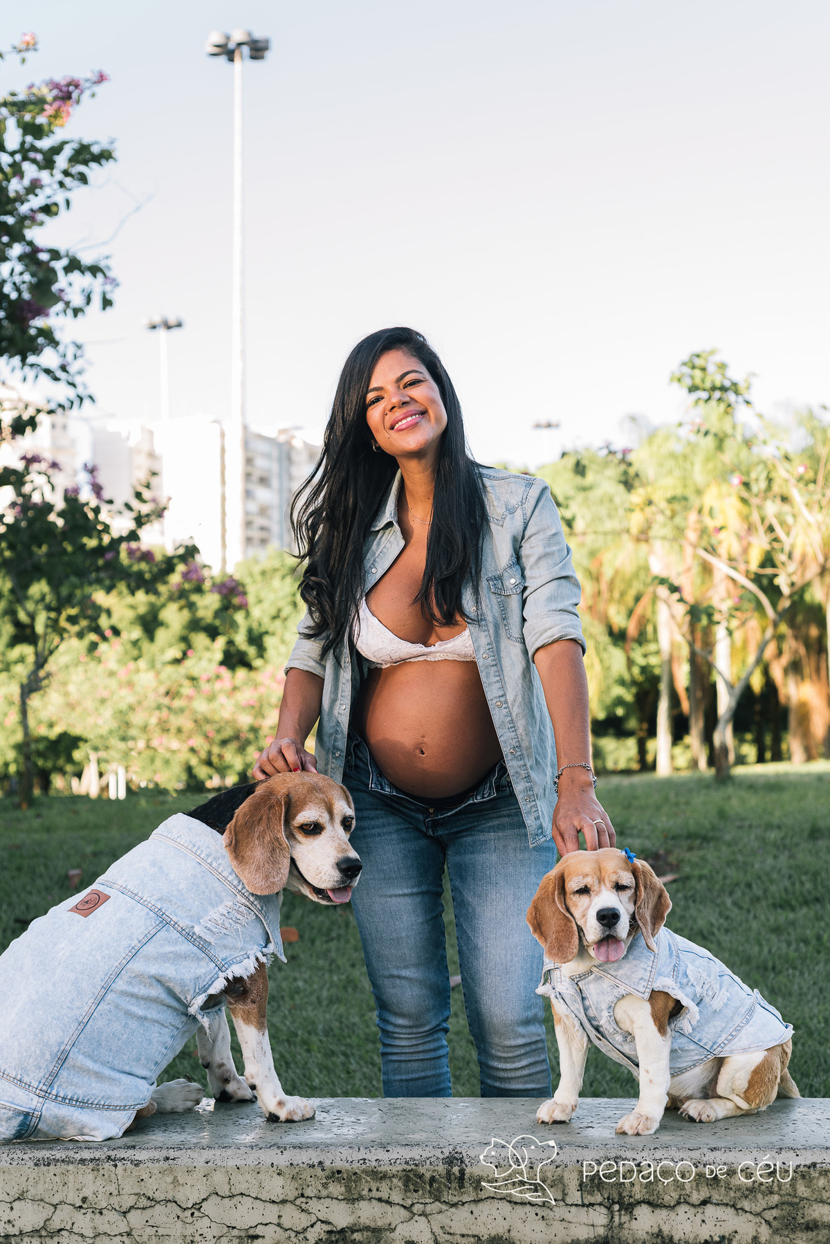 Mãe de pet ensaio com cães rio de janeiro beagle