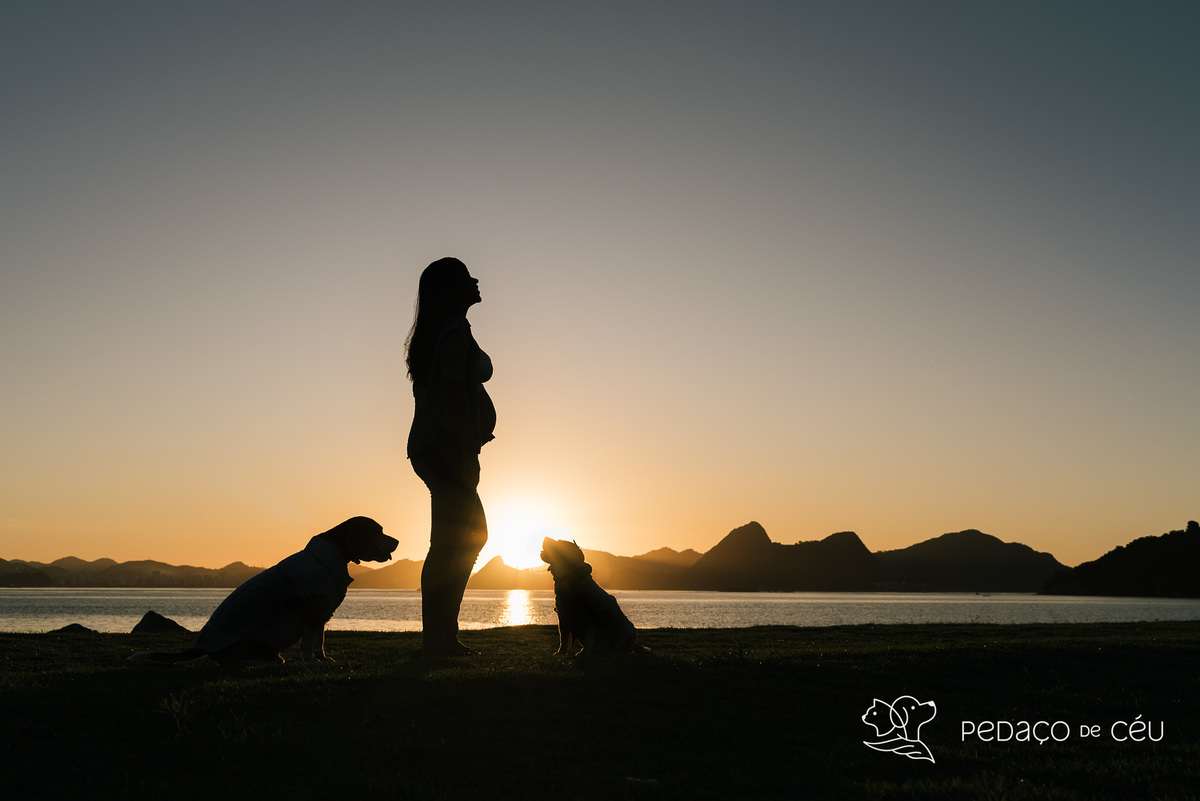 Mãe de pet ensaio com cães rio de janeiro beagle