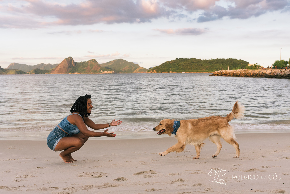 Mãe de pet ensaio com cães rio de janeiro golden