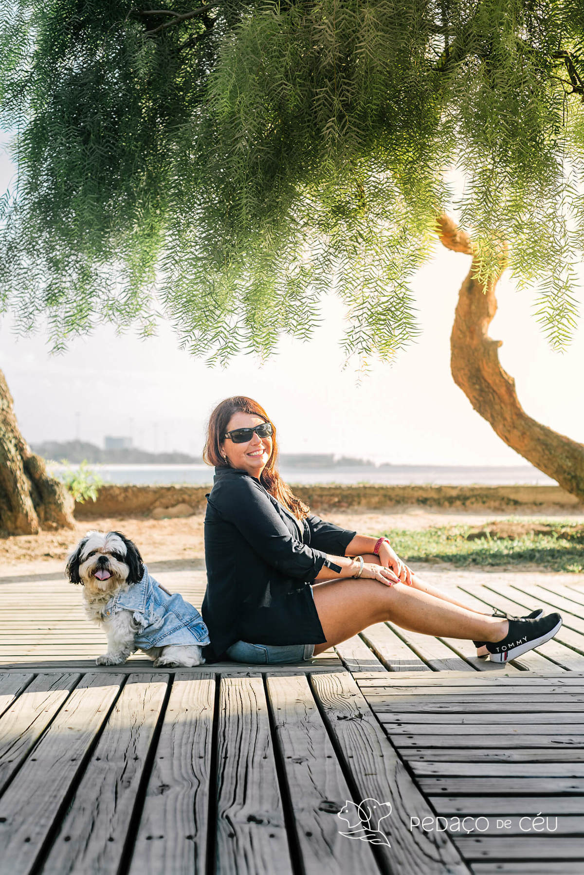 Mãe de pet ensaio com cães rio de janeiro shihtzu