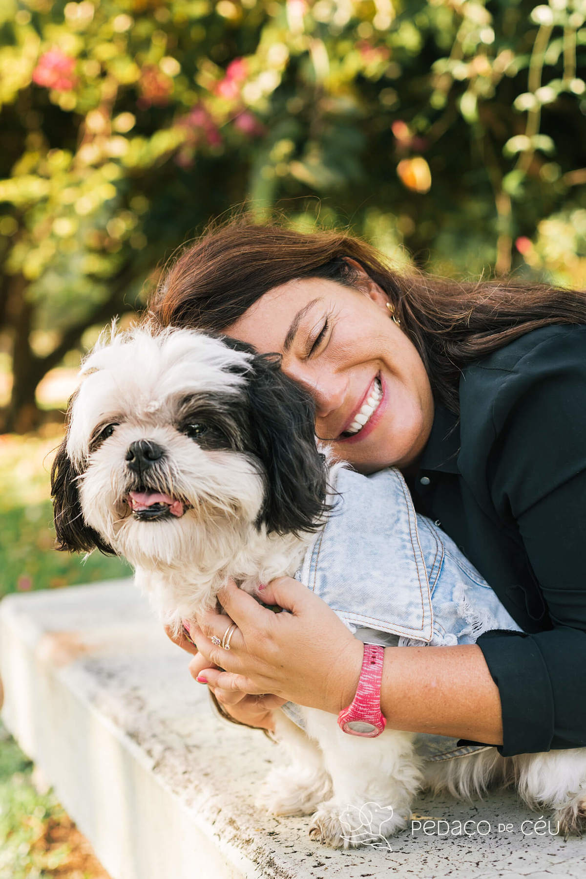 Mãe de pet ensaio com cães rio de janeiro shihtzu