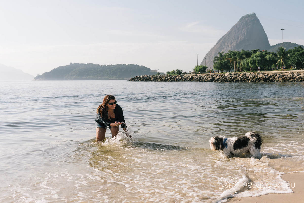 Mãe de pet ensaio com cães rio de janeiro shihtzu
