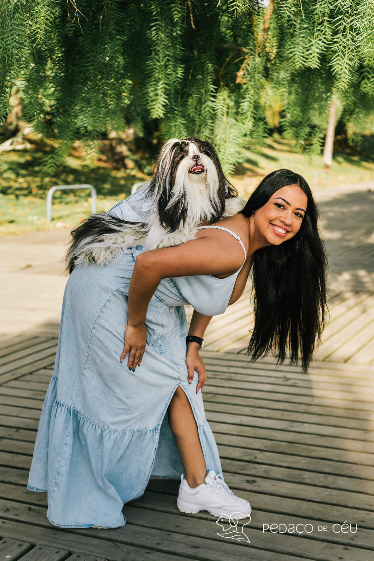 Mãe de pet ensaio com cães rio de janeiro shihtzu