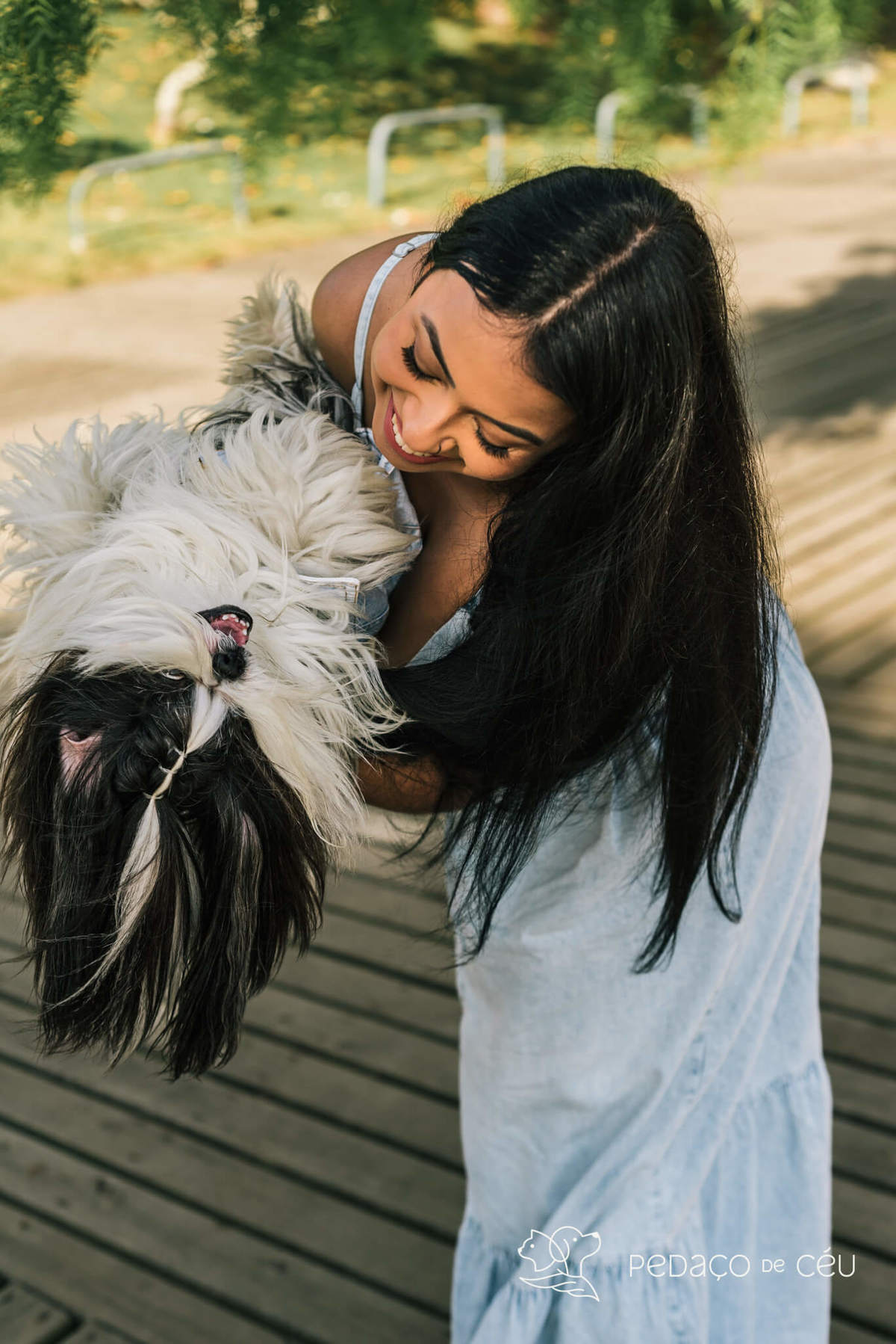 Mãe de pet ensaio com cães rio de janeiro shihtzu