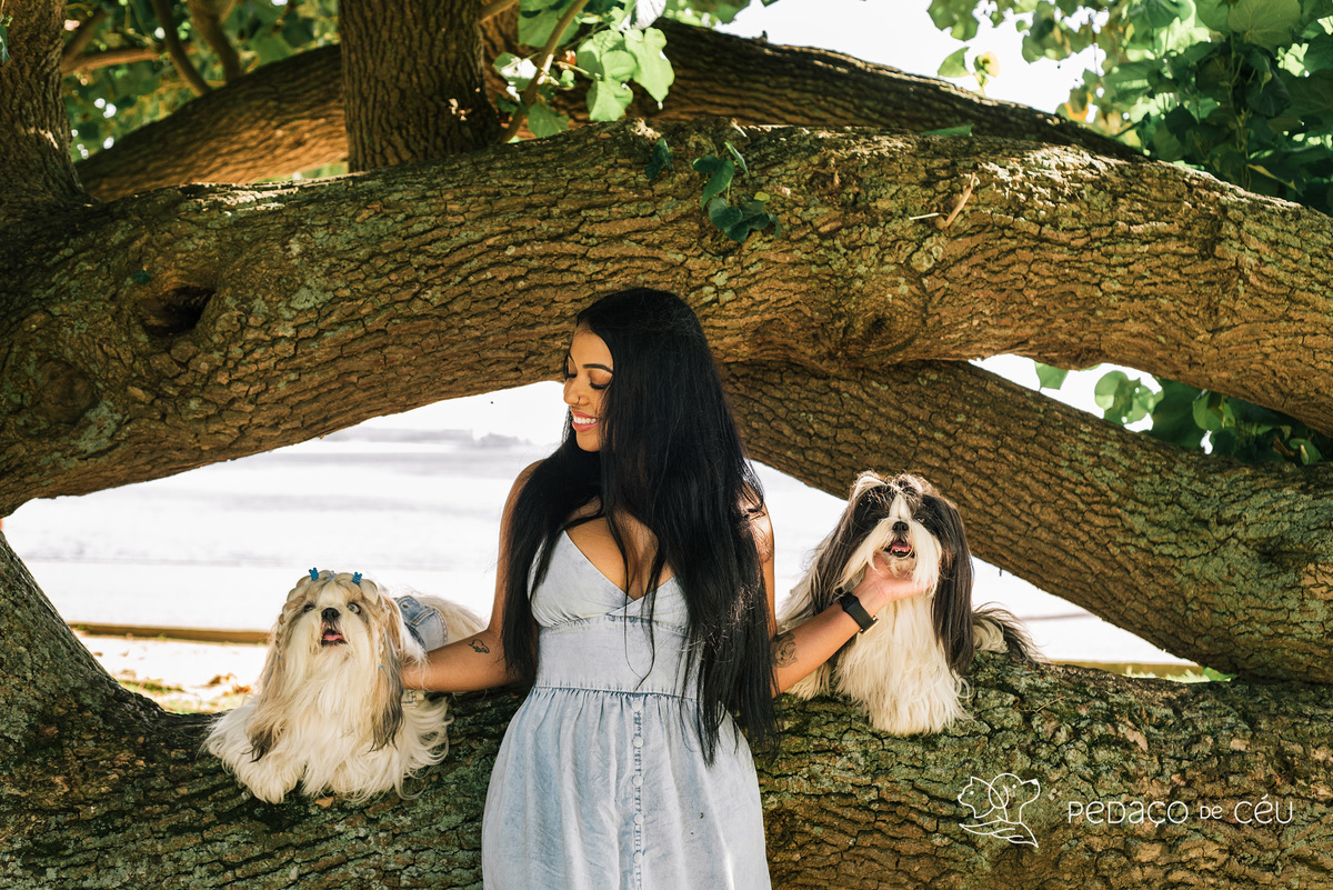 Mãe de pet ensaio com cães rio de janeiro shihtzu