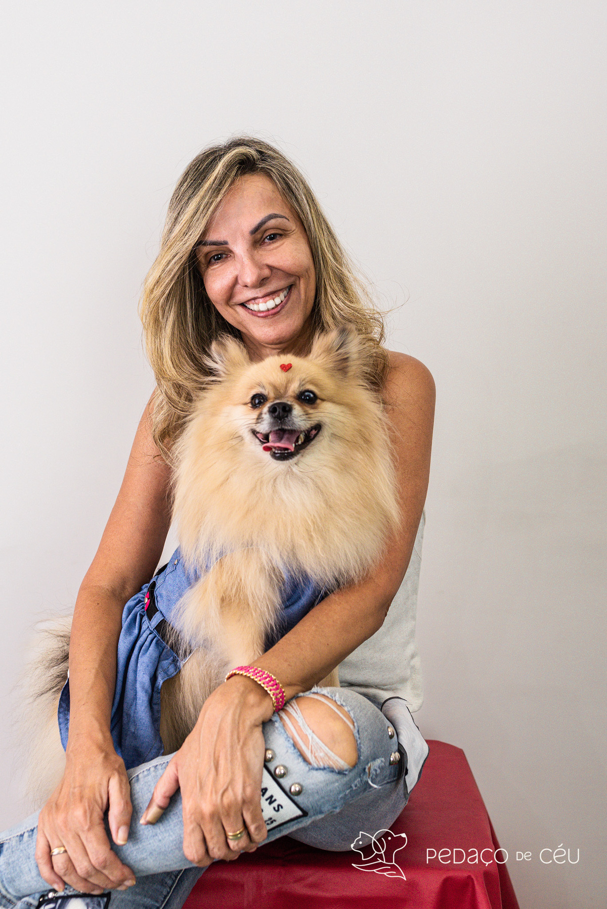 Mãe de pet ensaio com cães rio de janeiro spitz