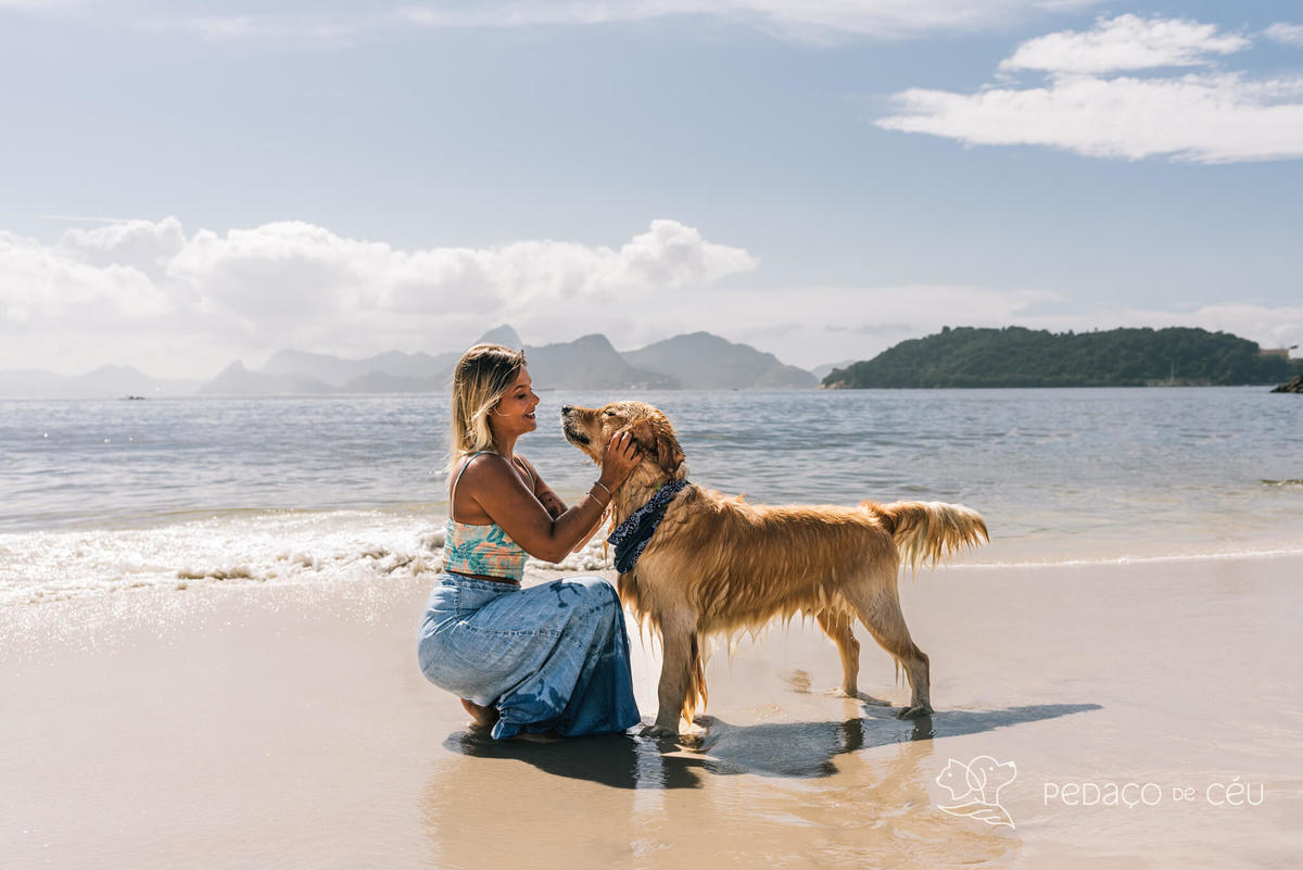 Mãe de pet ensaio com cães rio de janeiro golden