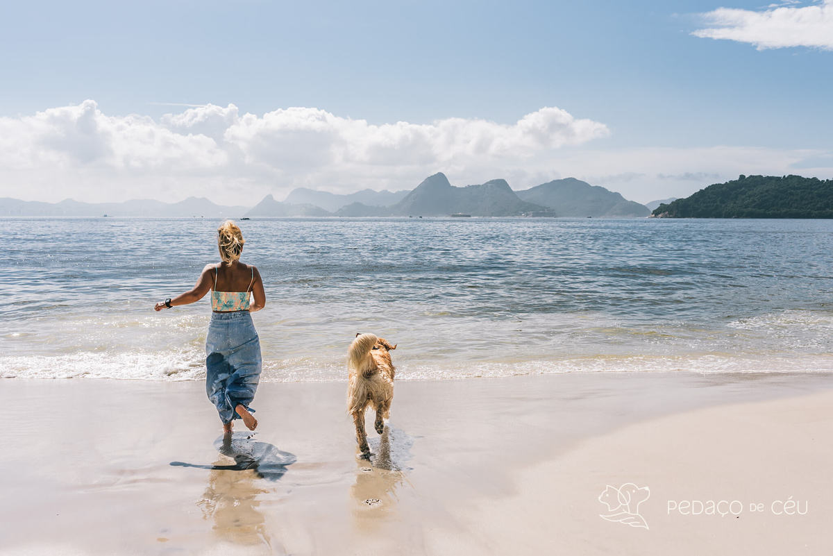 Mãe de pet ensaio com cães rio de janeiro golden