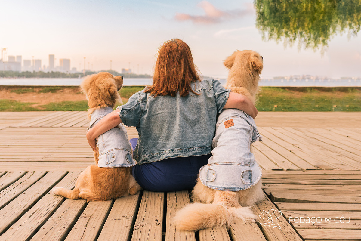 Mãe de pet ensaio com cães rio de janeiro golden