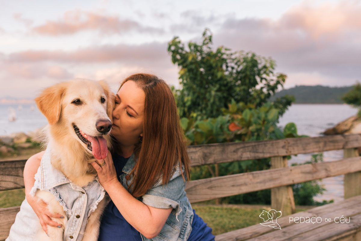 Mãe de pet ensaio com cães rio de janeiro golden