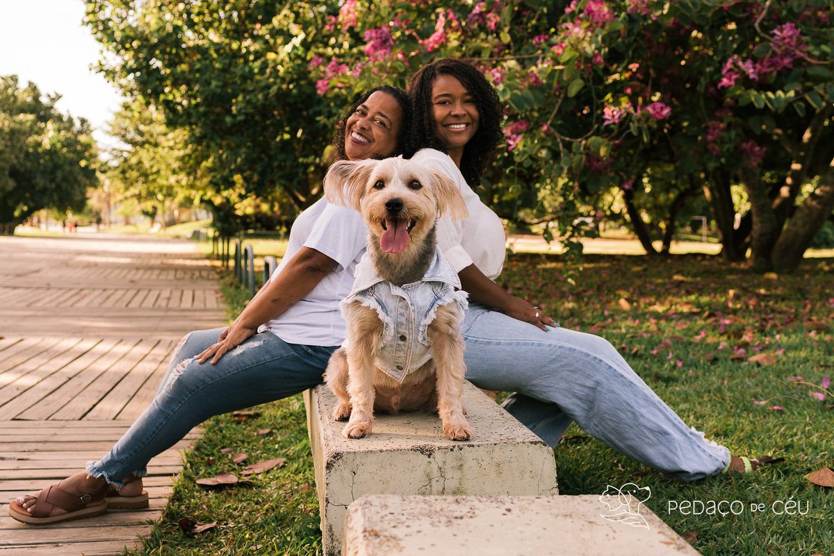 Mãe de pet ensaio com cães rio de janeiro yorkshire
