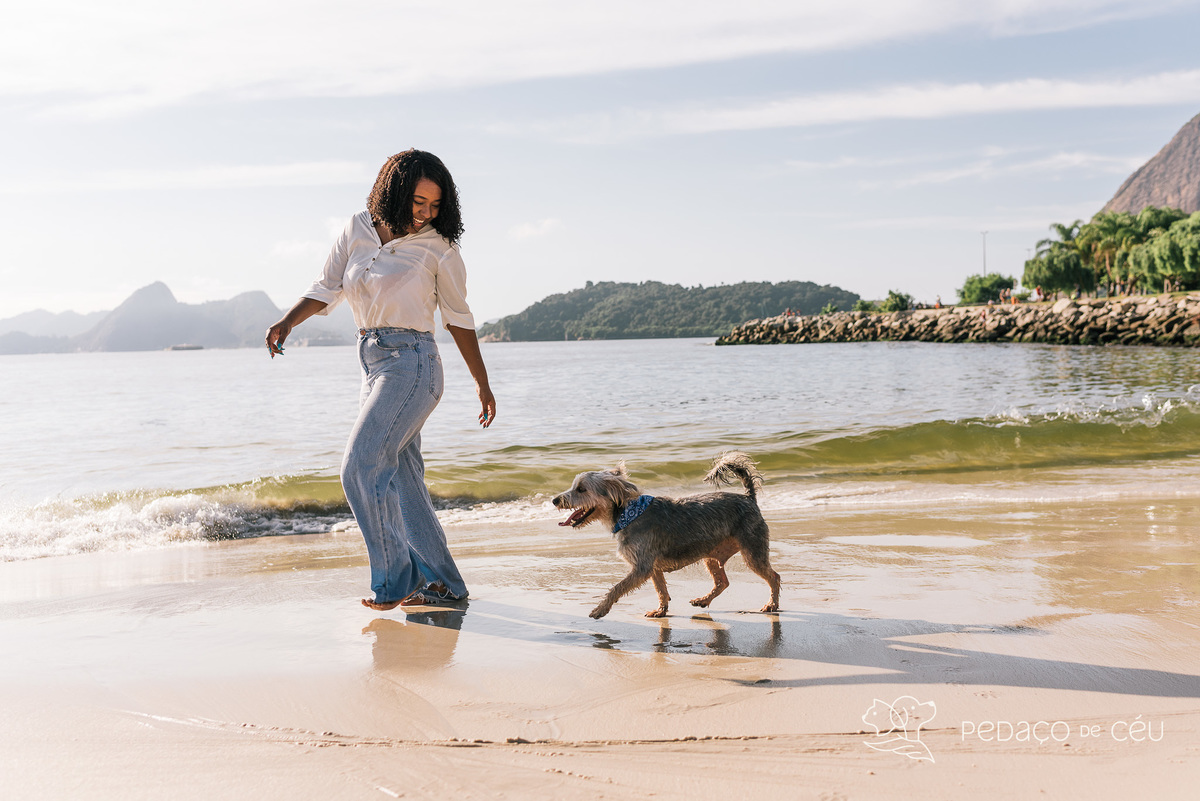 Mãe de pet ensaio com cães rio de janeiro yorkshire