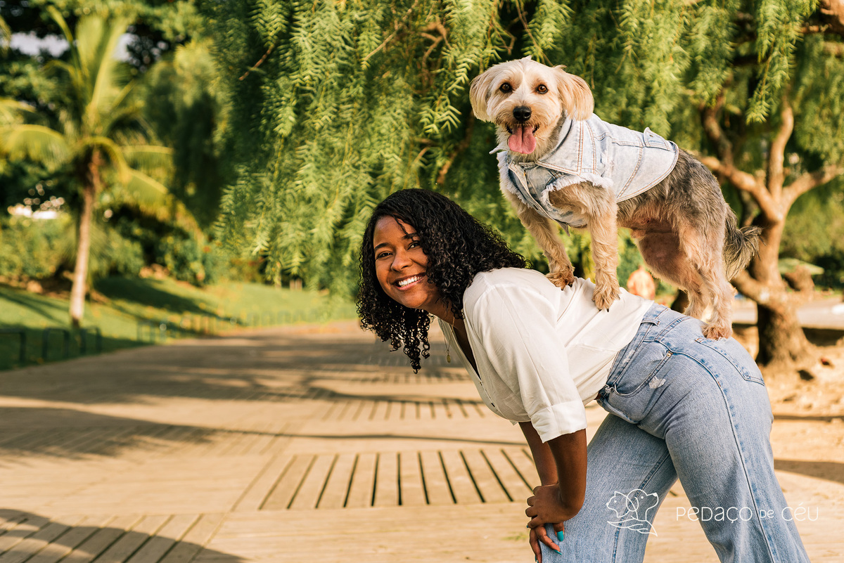 Mãe de pet ensaio com cães rio de janeiro yorkshire