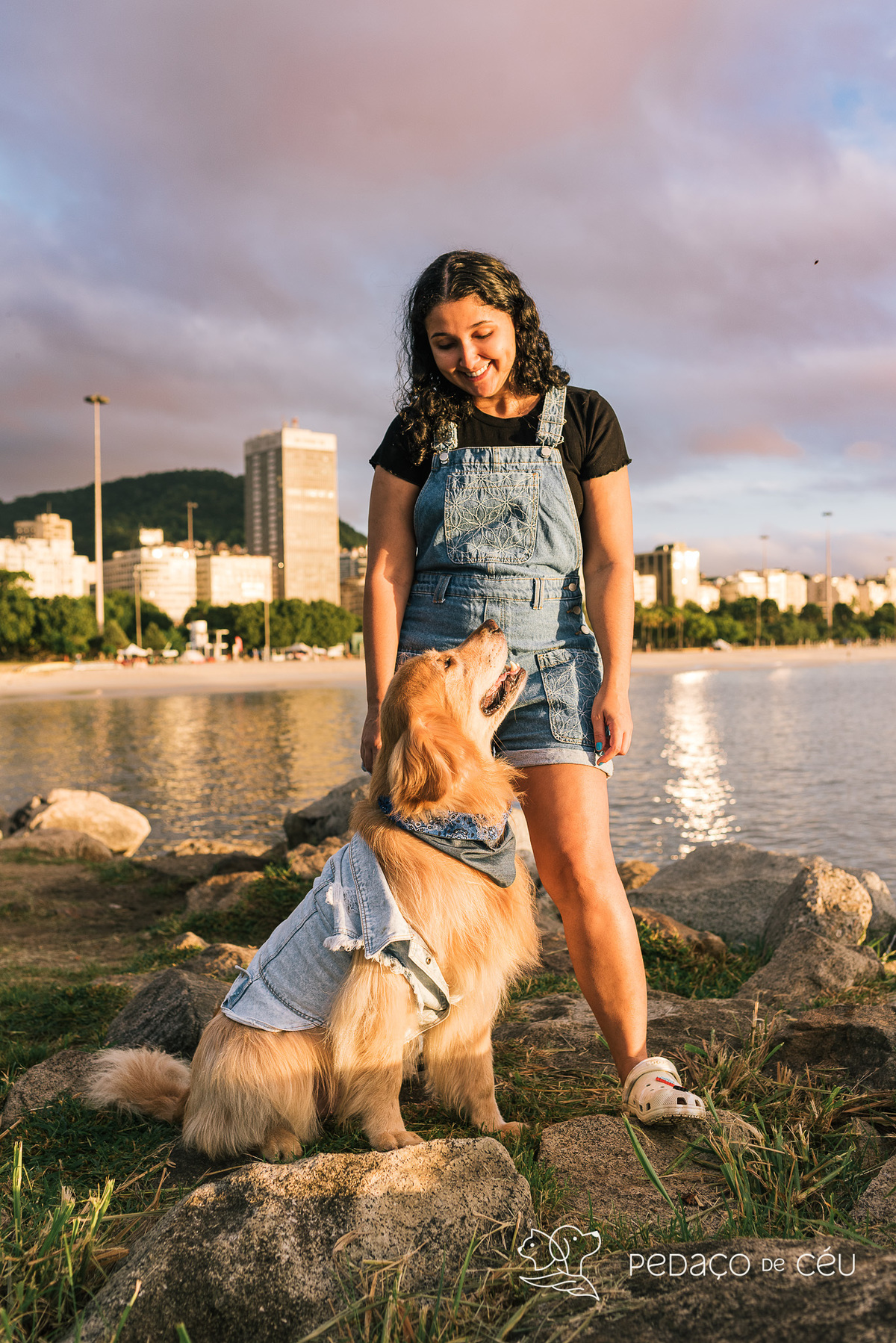 Mãe de pet ensaio com cães rio de janeiro golden