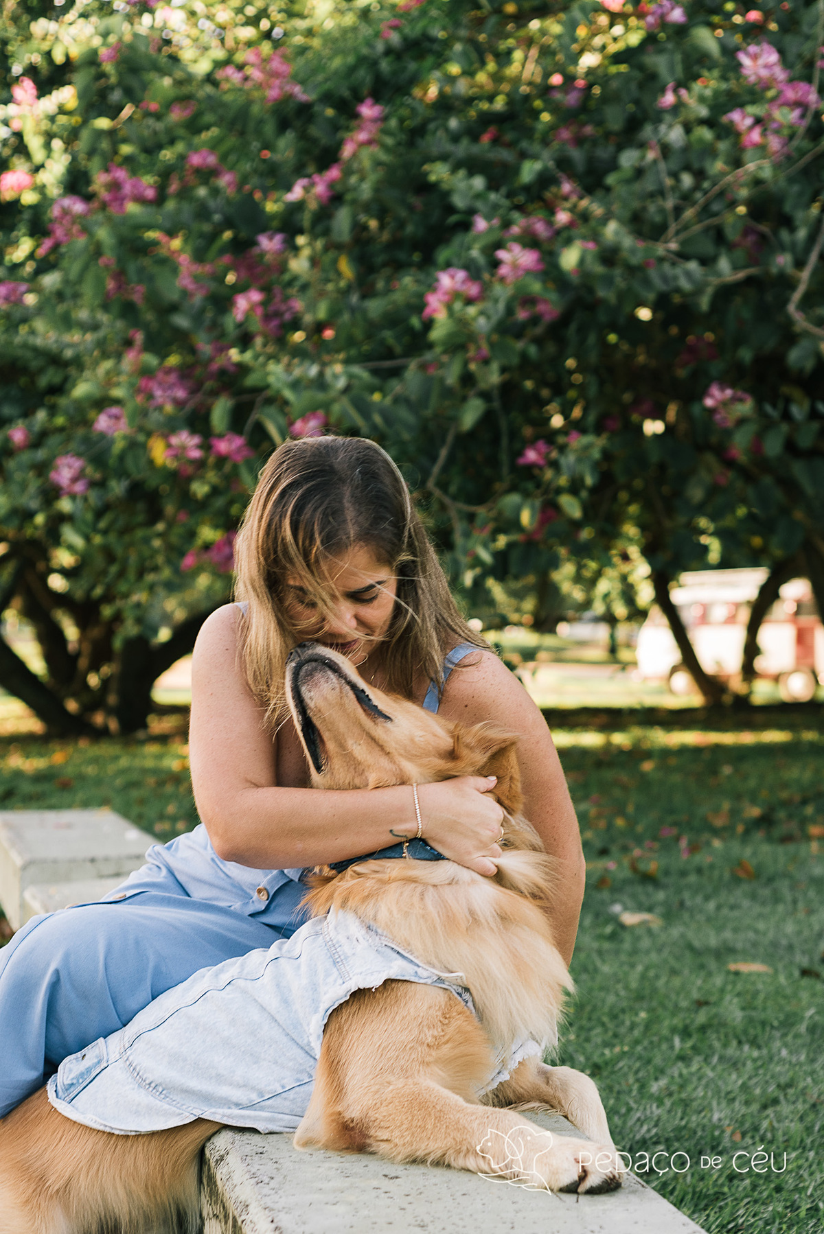 Mãe de pet ensaio com cães rio de janeiro golden