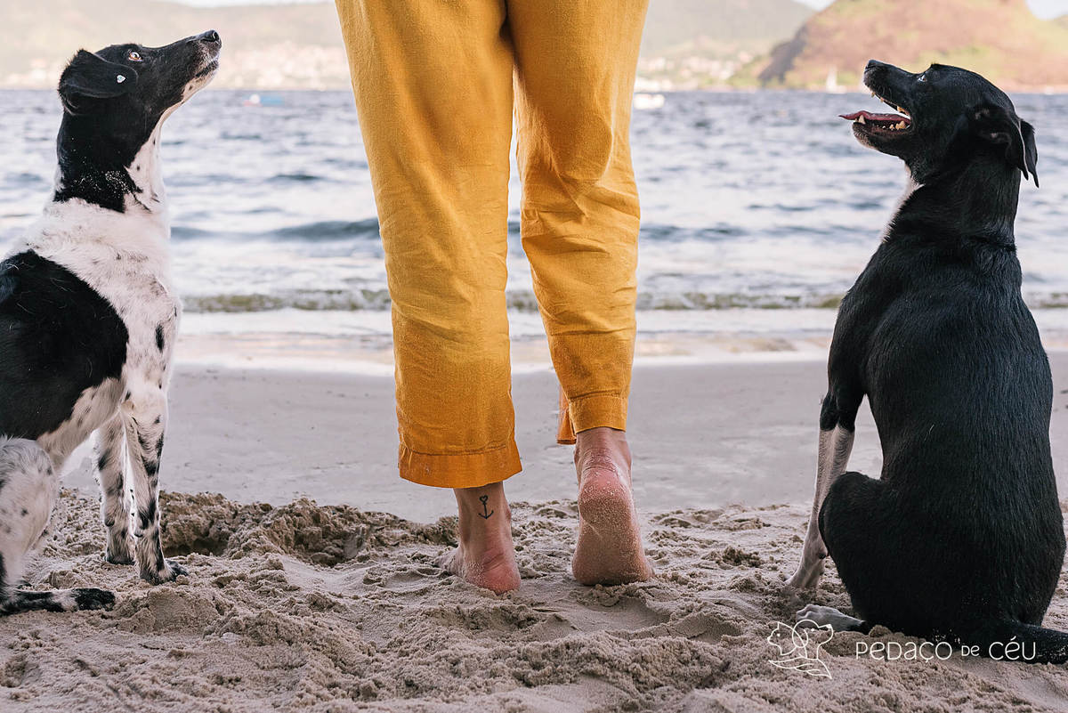 ensaio pet na praia Niterói