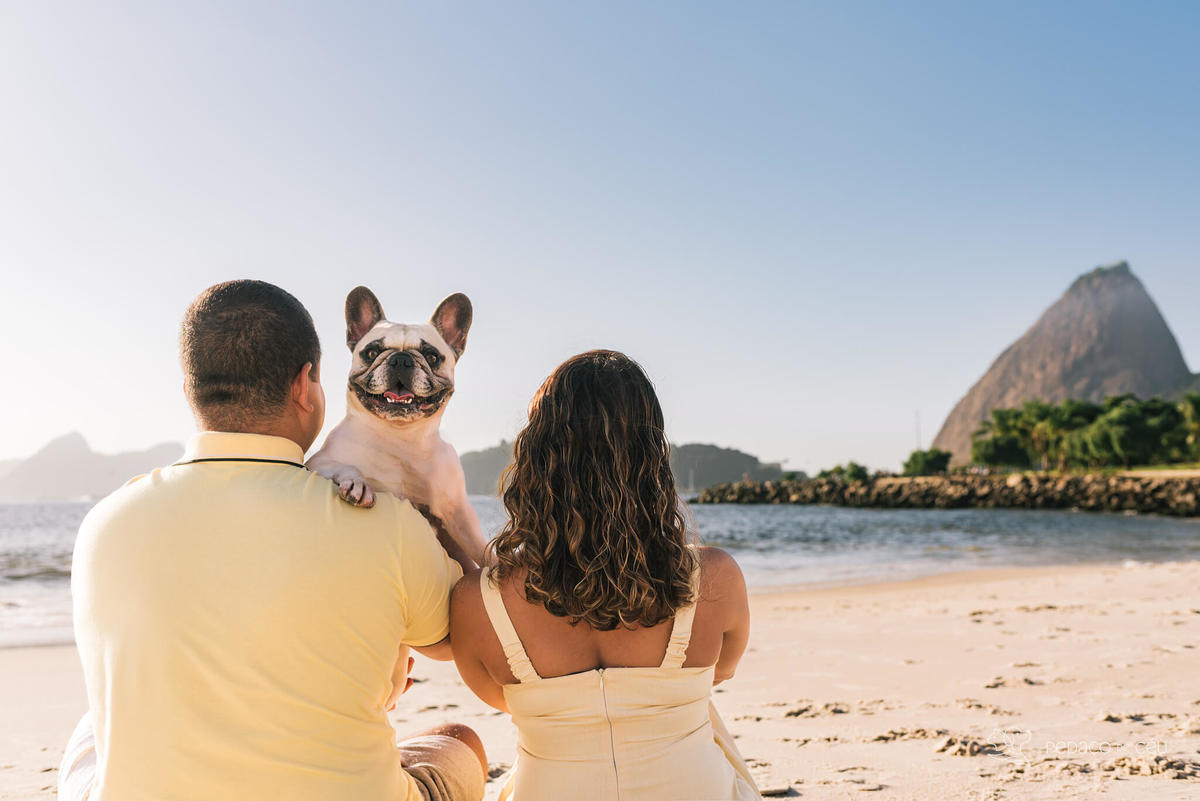 ensaio externo pet em família rio de janeiro