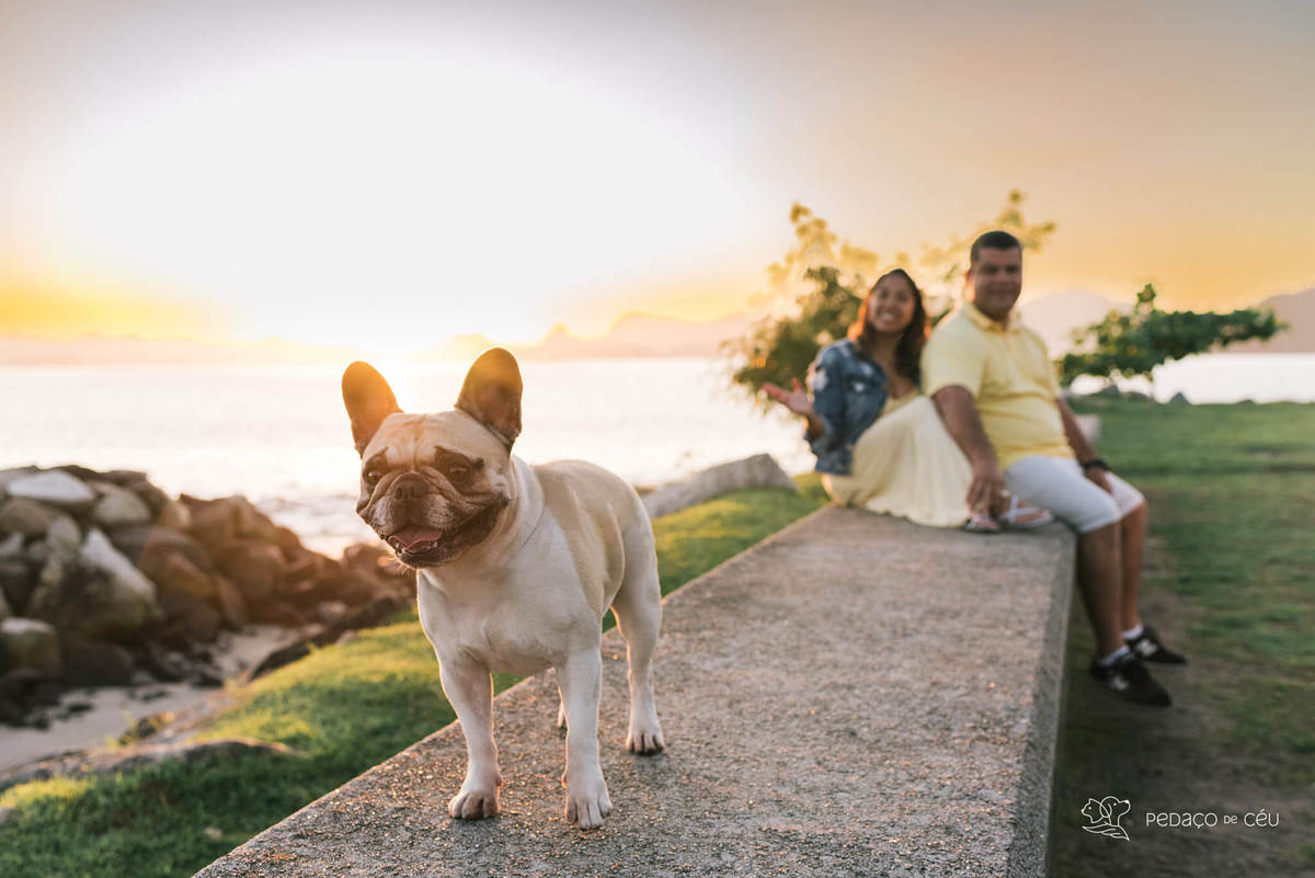 ensaio externo pet em família rio de janeiro