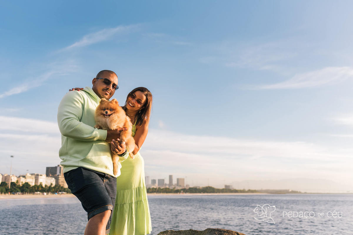 Ensaio pet spitz rio de janeiro