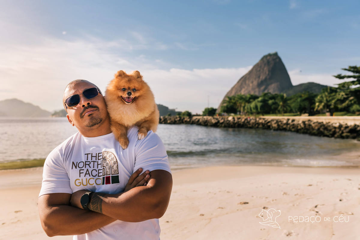 Ensaio praia pet spitz rio de janeiro