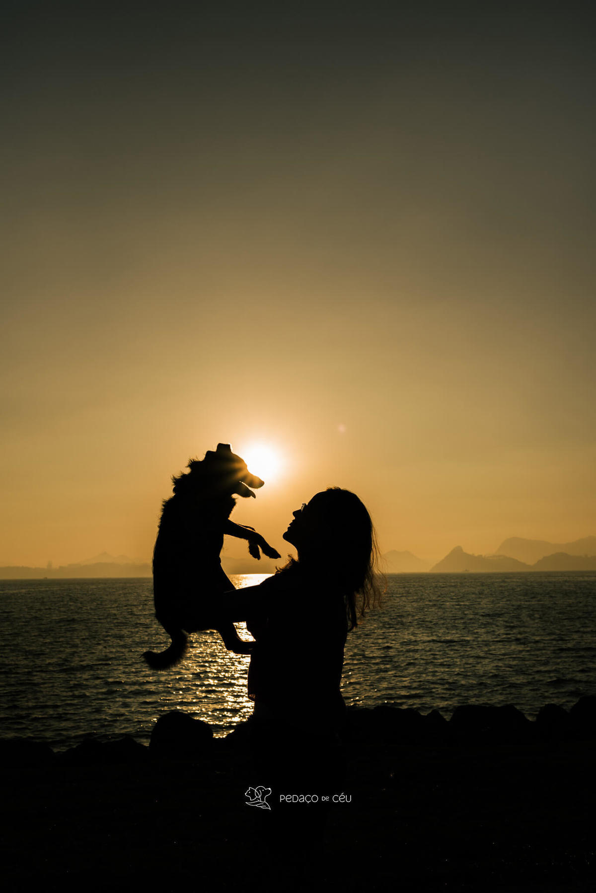 ensaio com pet srd Rio de Janeiro