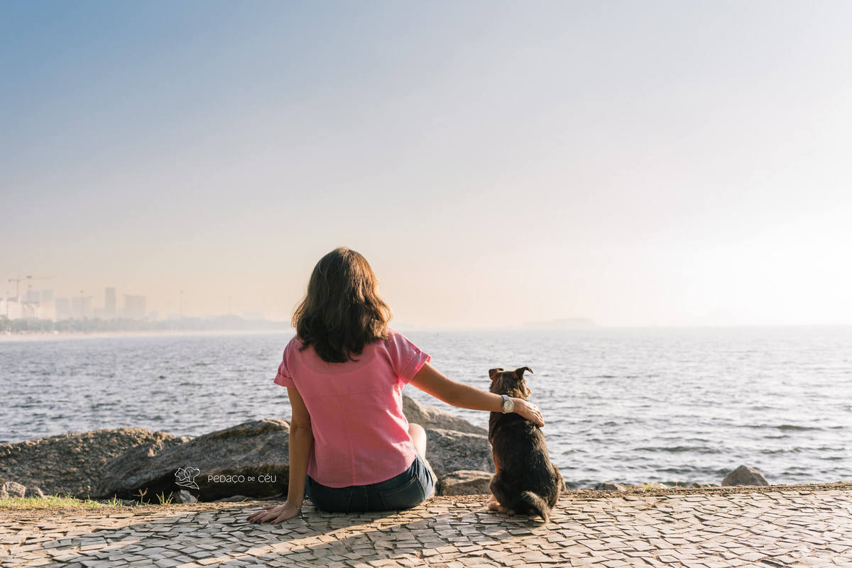 ensaio com pet srd Rio de Janeiro