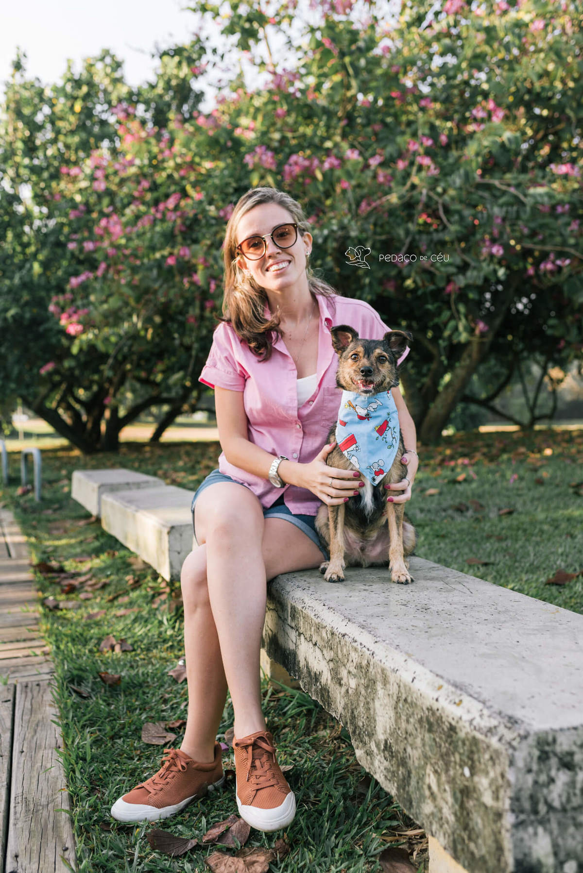 ensaio com pet srd Rio de Janeiro