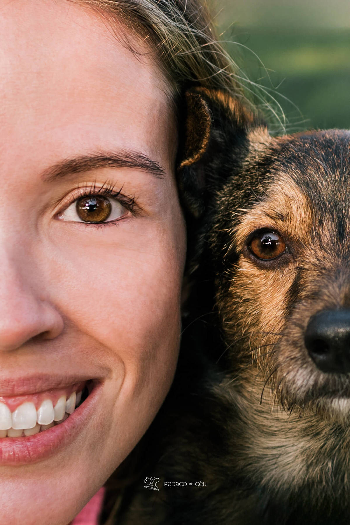 ensaio com pet srd Rio de Janeiro