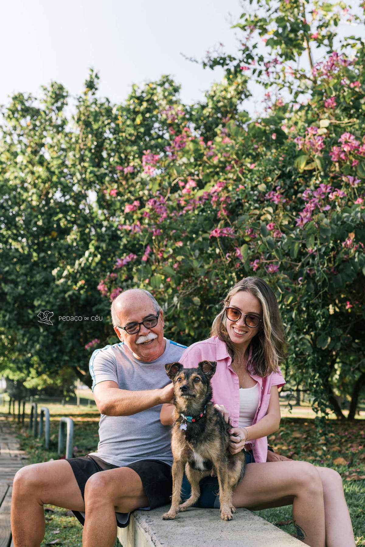 ensaio com pet srd Rio de Janeiro